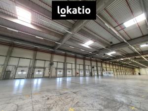 Pronájem skladu, Horní Tošanovice, 56600 m2