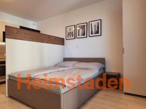 Pronájem bytu 1+kk, Plzeň - Jižní Předměstí, Magisterská, 30 m2