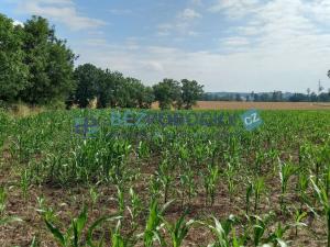 Prodej komerčního pozemku, Havlíčkův Brod - Termesivy, 20005 m2