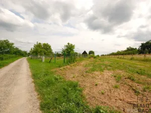 Prodej chaty, Břeclav - Charvátská Nová Ves, 15 m2