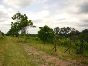 Prodej chaty, Břeclav - Charvátská Nová Ves, 15 m2