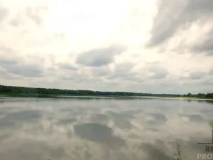 Prodej chaty, Břeclav - Charvátská Nová Ves, 15 m2