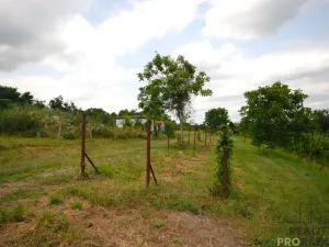 Prodej vinného sklepa, Břeclav - Charvátská Nová Ves, 15 m2