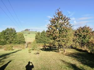 Prodej pozemku pro bydlení, Teplýšovice, 955 m2