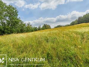 Prodej trvalého travního porostu, Víchová nad Jizerou, 1739 m2