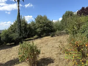 Prodej zahrady, Samotišky, 770 m2