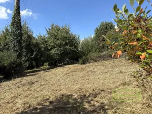 Prodej zahrady, Samotišky, 770 m2