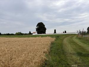 Prodej pozemku, Ivanovice na Hané - Chvalkovice na Hané, 618 m2