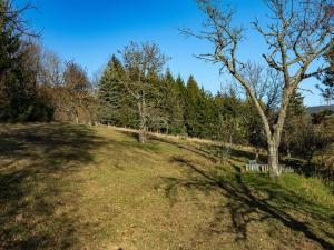 Prodej rodinného domu, Tanvald - Šumburk nad Desnou, Český Šumburk, 120 m2