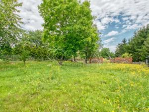 Prodej pozemku pro bydlení, Proseč - Česká Rybná, 2342 m2