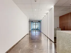 Pronájem kanceláře, Ústí nad Labem - Ústí nad Labem-centrum, Masarykova, 155 m2