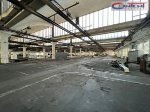 Pronájem výrobních prostor, Kladno - Dubí, Dubská, 10000 m2