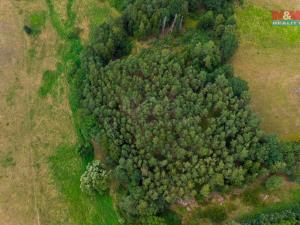 Prodej lesa, Kostelec nad Vltavou - Sobědraž, 13357 m2