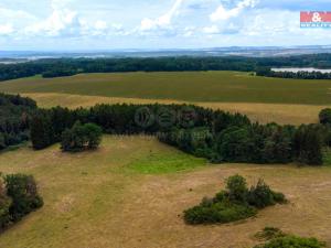 Prodej lesa, Kostelec nad Vltavou - Sobědraž, 13357 m2