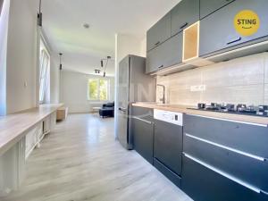 Pronájem bytu 2+kk, Opava - Předměstí, U Opavice, 63 m2