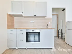 Pronájem bytu 2+kk, Brno - Staré Brno, Pekařská, 29 m2