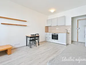 Pronájem bytu 2+kk, Brno - Staré Brno, Pekařská, 29 m2