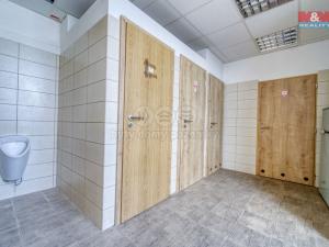 Pronájem ubytování, Břasy, 290 m2