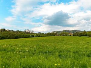 Prodej pozemku pro bydlení, Děčín, 1521 m2