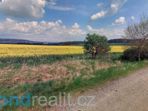 Prodej zemědělské půdy, Cebiv, 6401 m2