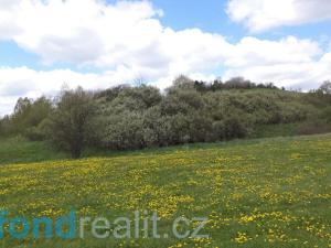 Prodej pozemku, Budišov nad Budišovkou, 11087 m2