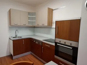 Pronájem bytu 2+kk, Jihlava, F. X. Šaldy, 48 m2