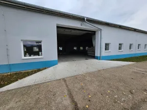 Pronájem výrobních prostor, Děčany - Solany, 500 m2