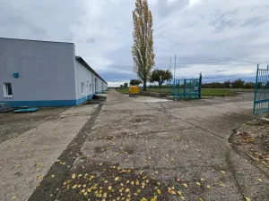 Pronájem výrobních prostor, Děčany - Solany, 500 m2