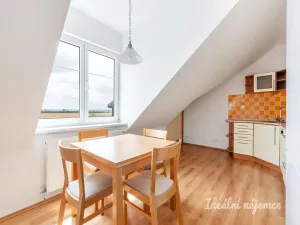 Pronájem bytu 2+1, Chrášťany, Žlutá, 63 m2