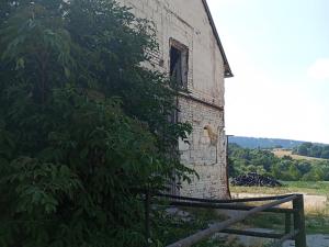 Prodej zemědělského objektu, Rohle, 11000 m2