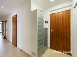Pronájem bytu 4+kk, Praha - Záběhlice, Mattioliho, 100 m2