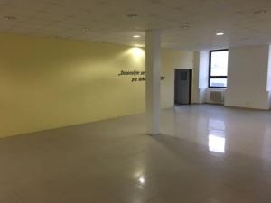 Pronájem obchodního prostoru, Brno, Václavská, 710 m2