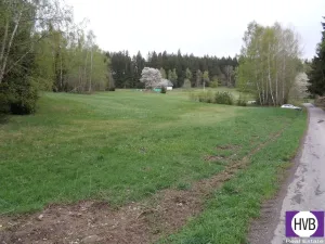 Prodej podílu 1/3 pole, Přední Výtoň, Přední Výtoň, 4039 m2