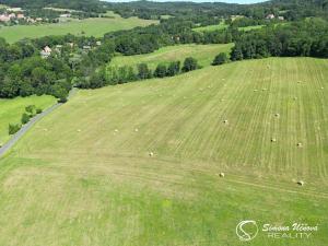 Prodej trvalého travního porostu, Třebušín, 74552 m2