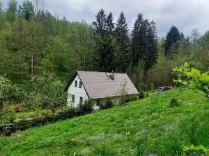 Prodej chalupy, Vysoké nad Jizerou, 100 m2