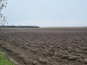 Prodej zemědělské půdy, Číčovice, 14648 m2