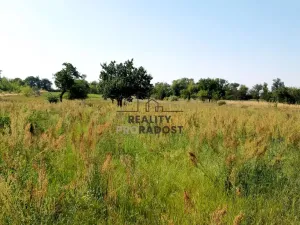 Prodej pozemku pro bydlení, Lužice, 4274 m2