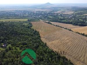 Prodej pozemku, Třebenice, 4280 m2