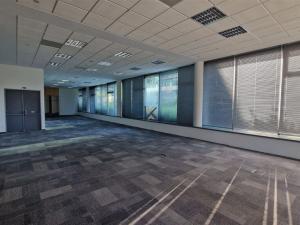 Pronájem kanceláře, Praha - Chodov, V parku, 281 m2