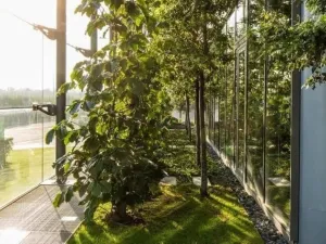 Pronájem kanceláře, Praha - Chodov, V parku, 200 m2