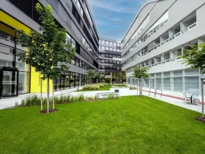 Pronájem kanceláře, Praha - Libeň, Boudníkova, 600 m2