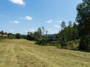 Prodej trvalého travního porostu, Huntířov - Stará Oleška, 7345 m2