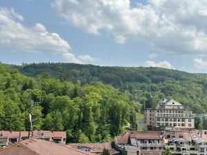 Pronájem bytu 1+kk, Luhačovice, 18 m2