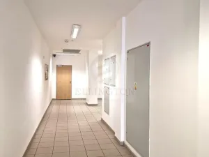 Pronájem bytu 1+kk, Klecany, V Honech, 35 m2