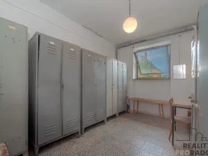 Prodej výrobních prostor, Moravský Krumlov, Pod Leskounem, 2555 m2