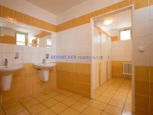 Pronájem kanceláře, Hradec Králové, Bieblova, 35 m2