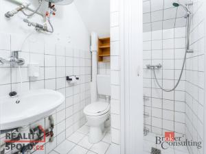 Prodej bytu 1+kk, Chlumec nad Cidlinou - Chlumec nad Cidlinou IV, Spravedlnost, 25 m2