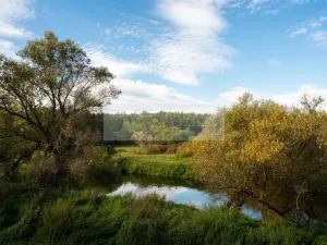 Pronájem ubytování, Plzeň, K Papírně, 574 m2