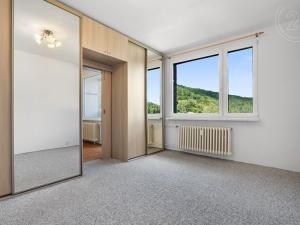 Prodej bytu 3+1, Děčín, Na Pěšině, 67 m2