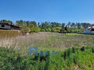 Prodej pozemku, Horní Stropnice - Krčín, 4081 m2